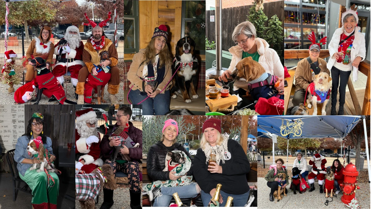9th Annual Jingle Bell Pup Crawl