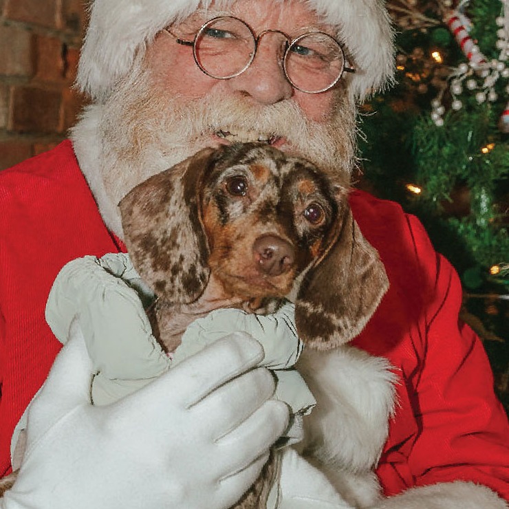 Photos with Santa Paws: Dog-Friendly Yappy Hour