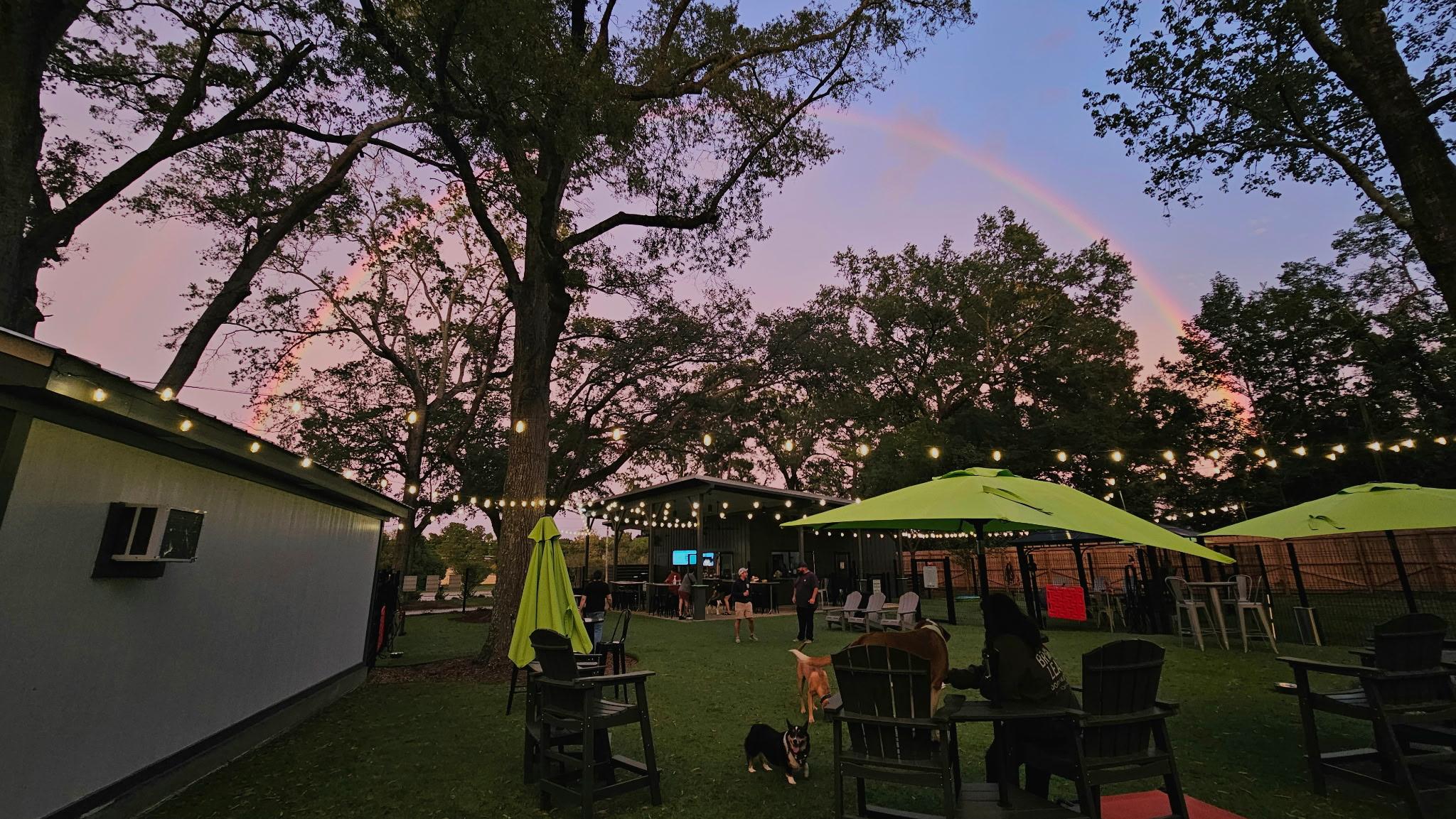 Dog-Friendly Mingle & Bark Mondays at Broken Leash