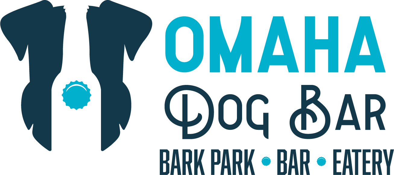 Rescue Night at Omaha Dog Bar