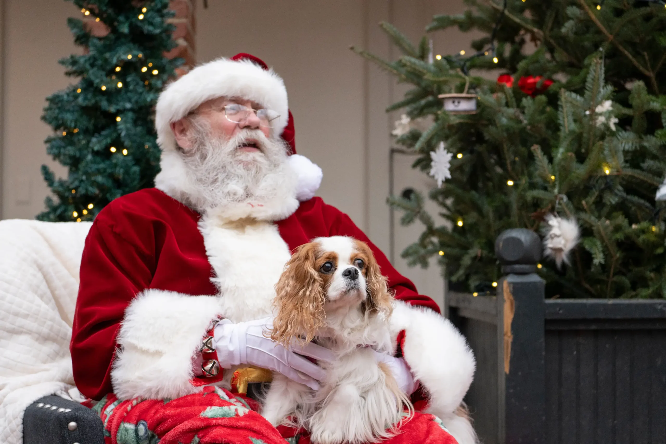 Dog Visits with Santa at Cheekwood